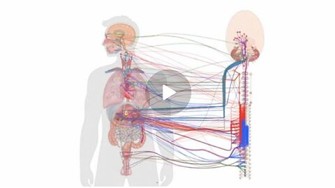A Bio-Digital Convergence Discussion- Part I| The Vaxxed Will KNOW What They Have Done Soon!