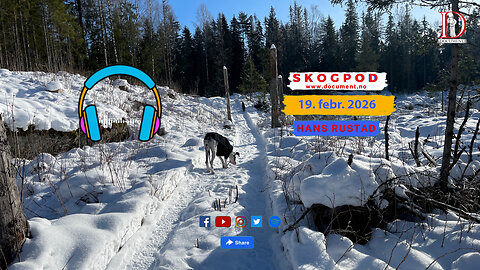 Skogpod 19. februar 2026