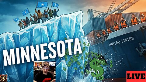 GAME OVER Scammers? The Minnesota Taxpayer Scandal Spreads - LYONCAST