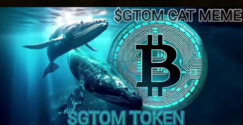 The whales got the signal. Now the $GTOM hunt has begun. They’re not trading — they’re chasing.