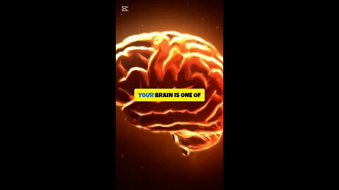 This Is What Happens When You Feed Your Brain the Wrong Fuel 🧠🚫