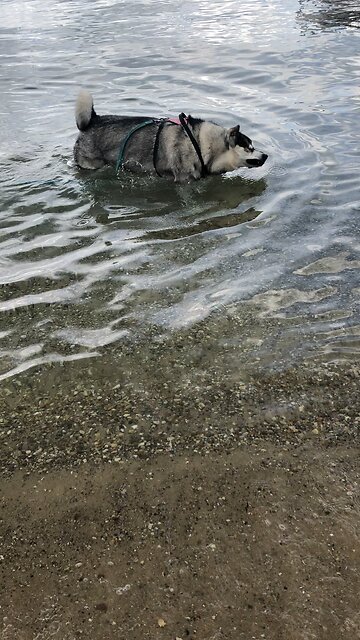 Monday June 30, Peace and prosperity will overflow Jerusalem.