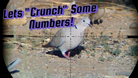 Volume 3 - Putting The Umarex Notos To Work - Shooting Compellation!