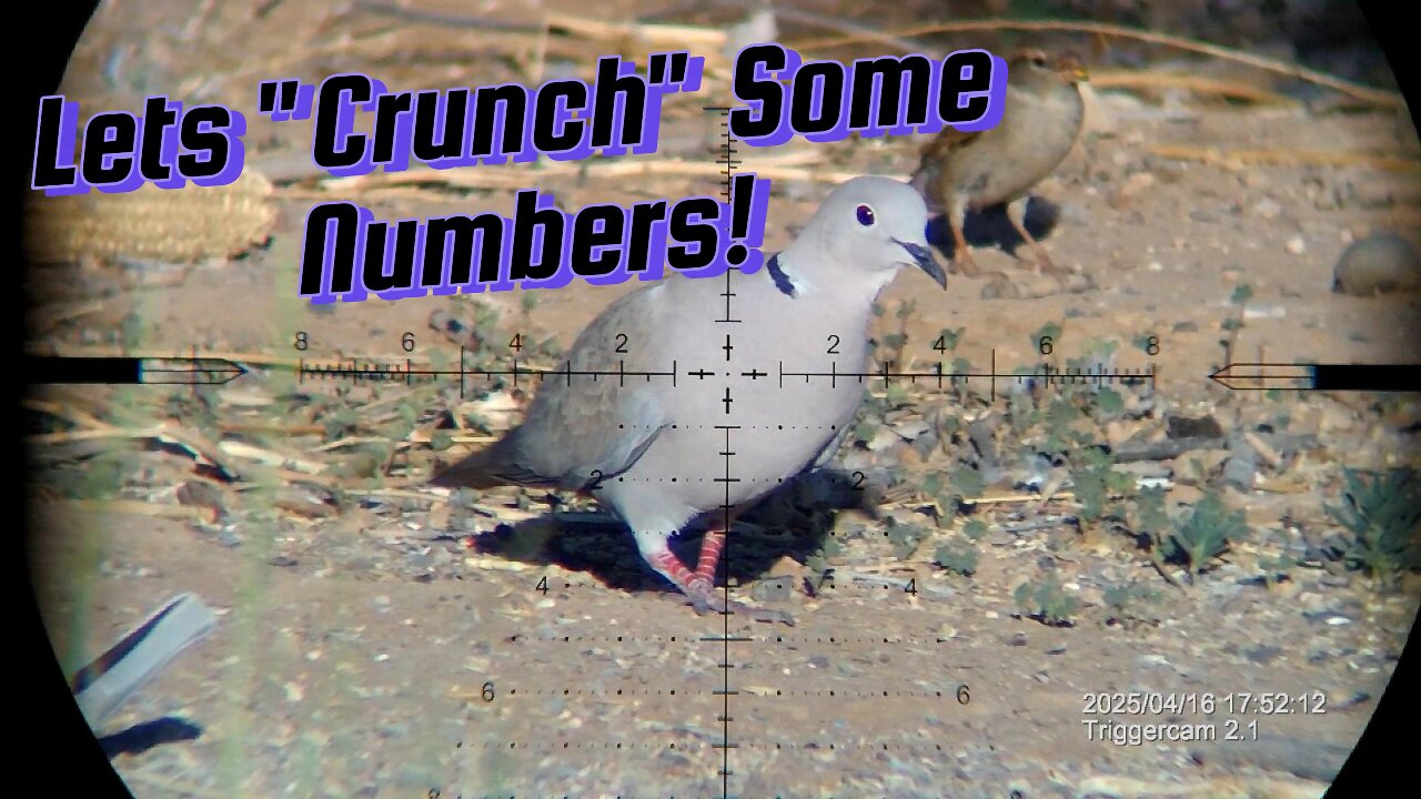 Volume 3 - Putting The Umarex Notos To Work - Shooting Compellation!