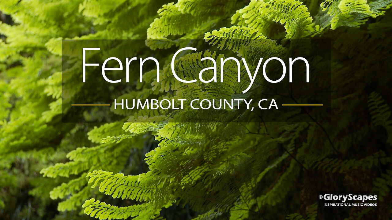 Fern Canyon - Humbolt County, California (nature, creek, calming, relaxing, peaceful, keyboard)