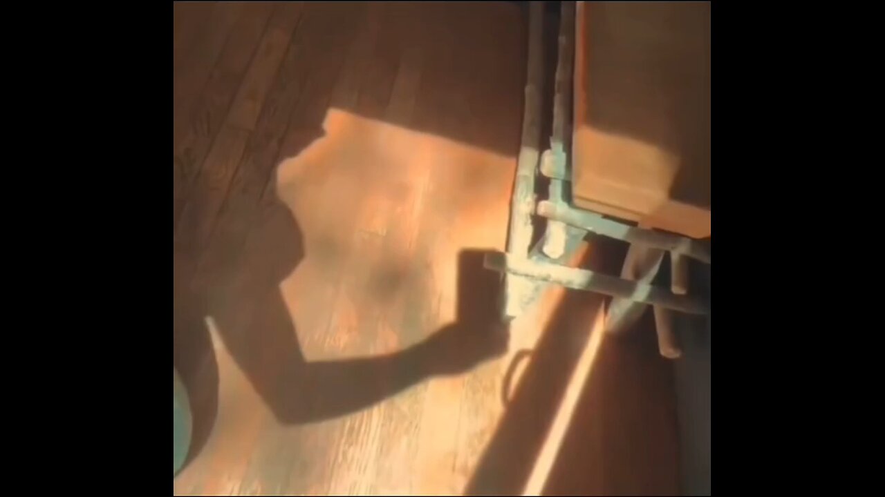 A Beautiful Trace in the Shadows