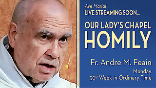 Wednesday of the Thirtieth Week in Ordinary Time - October 29, 2025 - OLC HOMILY