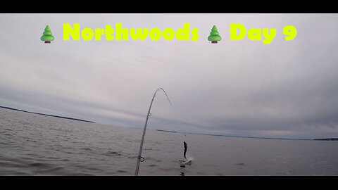 Northwoods - Day 9: The Finale! Coho Salmon, Splake, Brown Trout, & A Grouse