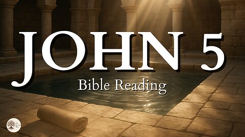 Book of John Chapter 5 | Peaceful Bible Gospel Audio Reading for Stillness and Scripture Meditation