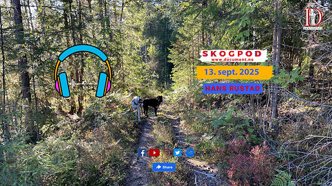 Skogpod 13. september 2025