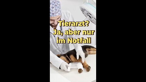 Nur in Notfällen zum Tierarzt!