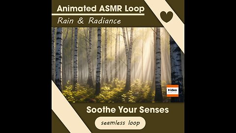 🌳Rain & Radiance Animated ASMR Nature Relaxing Calming Stress Relief Sleep Meditation Focus Visuals