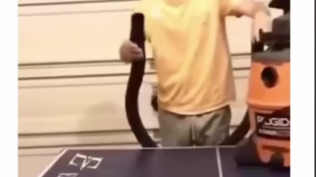 Fun ping pong