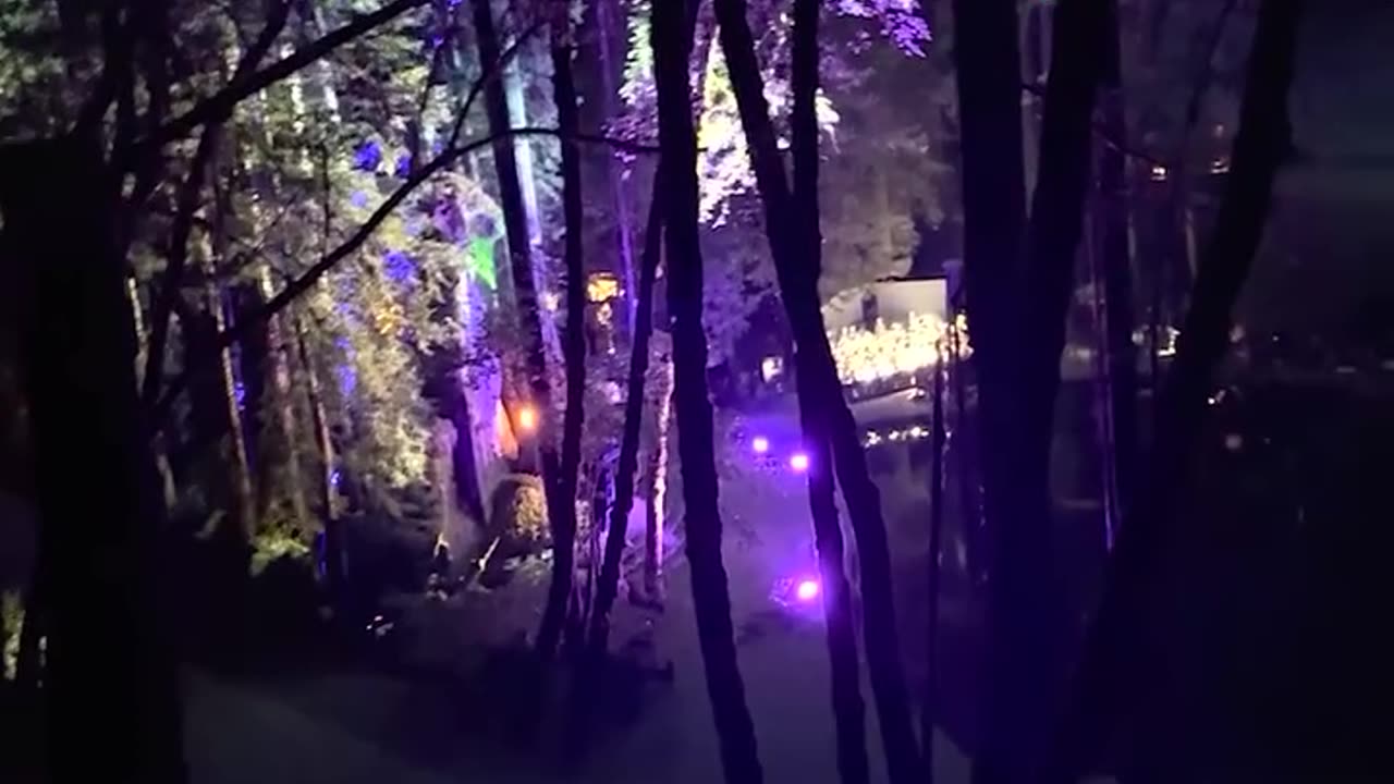 BOHEMIAN GROVE deeep web 2025 CAZADAOS❗️❗️❗️❗️ #factorE