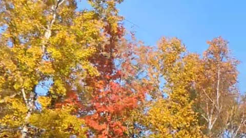 Autumn Driving on Lake Superior