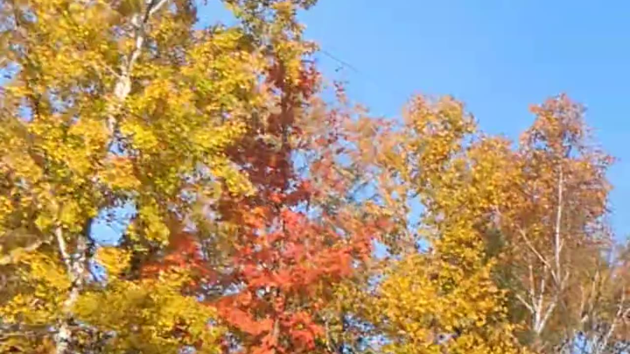 Autumn Driving on Lake Superior