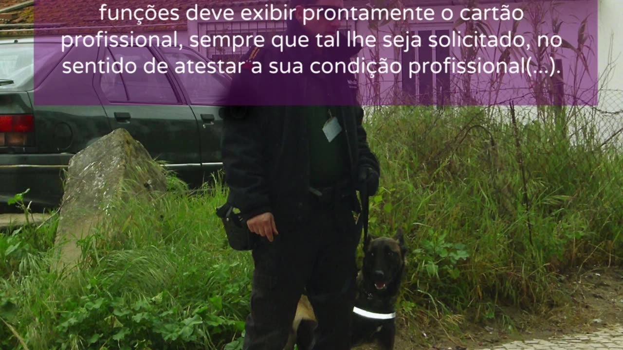 josecunha.pt