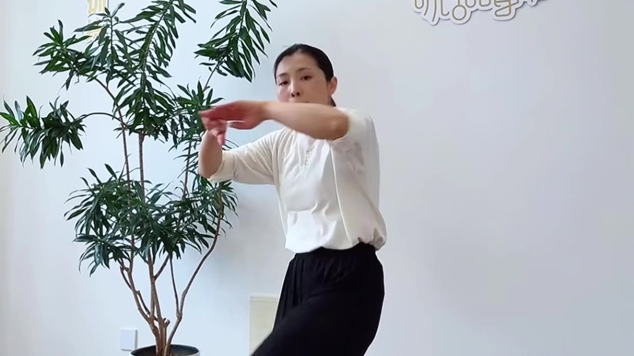 672.晃樁纏絲手
