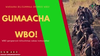 Gabaasa Gumaacha ONM-ABO Hagayya 1-2025 itti dhiyaadhaa!