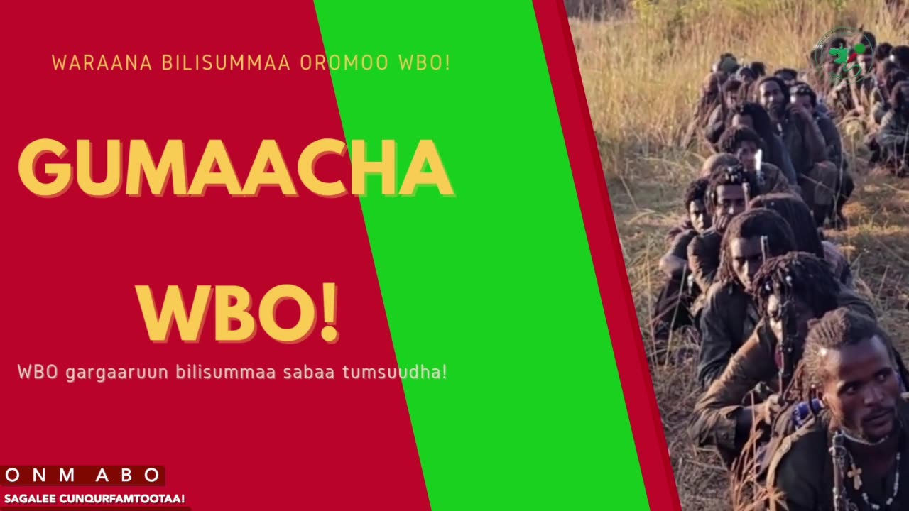Gabaasa Gumaacha ONM-ABO Hagayya 1-2025 itti dhiyaadhaa!