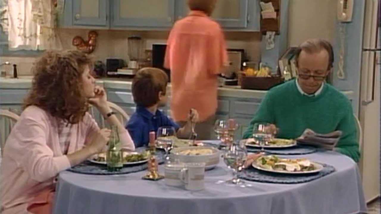 CLASSIC TELEVISION " ALF " ALIEN LIFE FORM...