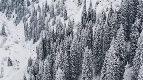 Snowy Mountain Serenity: Gentle Snowfall & Sunlit Peaks | Mindful Haven