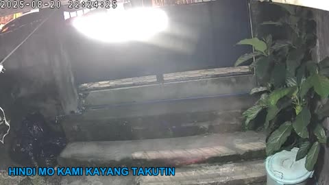 Mitsubishi Xpander 2019 Live