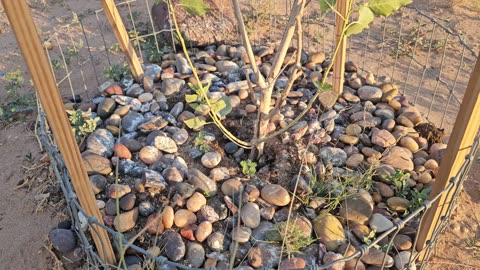 Tiny rocks along the path of life