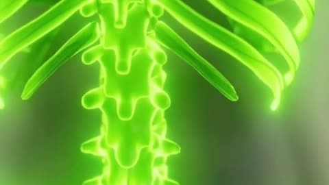 Neuro Urology Care in Madurai