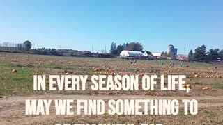 A THANKSGIVING ADVENTURE IN THE PUMPKIN PATCH & CORN MAZE | #short