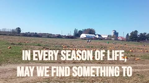 A THANKSGIVING ADVENTURE IN THE PUMPKIN PATCH & CORN MAZE | #short