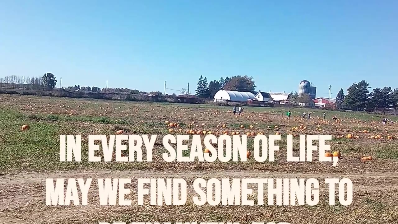 A THANKSGIVING ADVENTURE IN THE PUMPKIN PATCH & CORN MAZE | #short