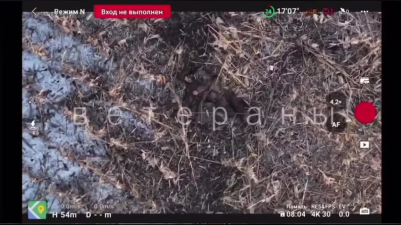 🇷🇺 Kursk region.🇷🇺