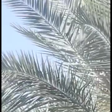 🚨 Iran launches over 100 drones toward Israel 🇮🇷➡️🇮🇱