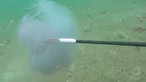Underwater ASMR Sounds: Calming and Relaxing Deep Dive Audio for Stress Relief