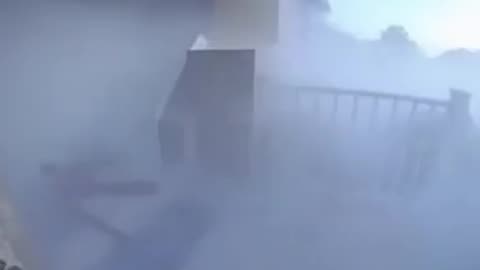 Grandma asks Dog if it's Lost