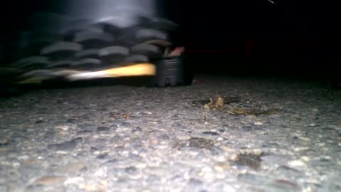 Crushed at Night