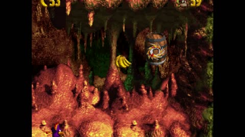 Donkey Kong Country 3 - Part 31