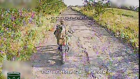 Elite Russian Scooter Squad is Shredded by Ukrainian Drones