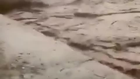 Pakistan monsoon rains kill at least 50 in 24 hours