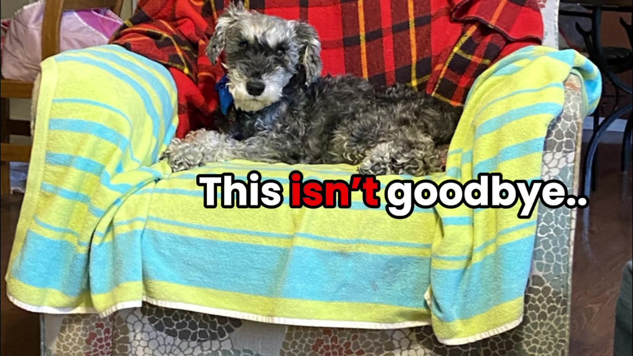 Rip Toby