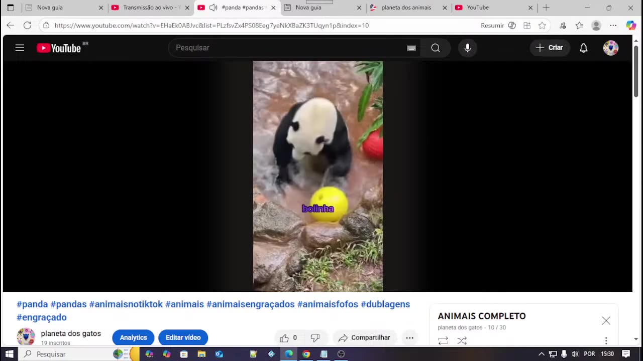 Cópia de Transmissão ao vivo de tropa do humor the history of cats complete.mp4