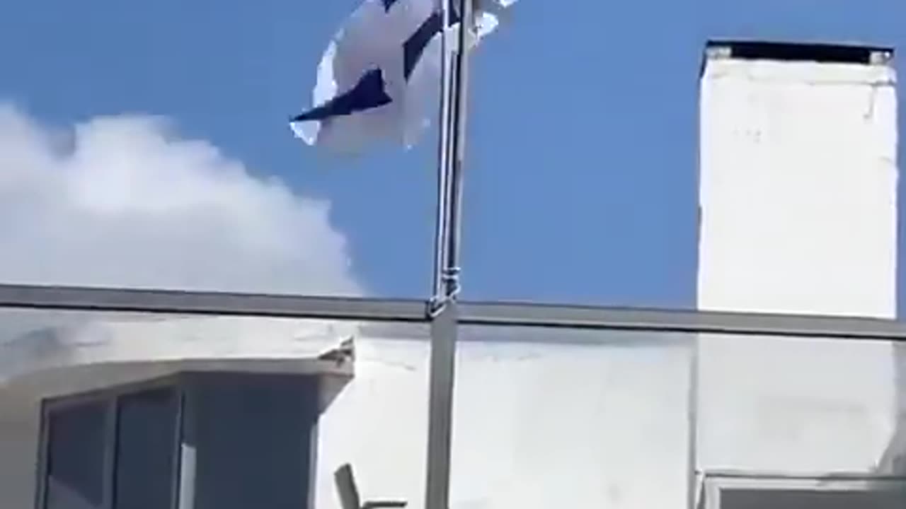 birds hate israel! 😂✋