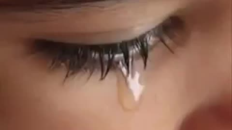 تلاوه خاشعه جدا تبكي القلوب المتحجره