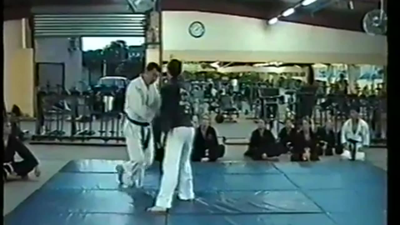 Hapkido Seminar