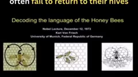 Without bees, there is no food security