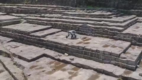 یک روباتیک چینی ، Chinese robotic dog
