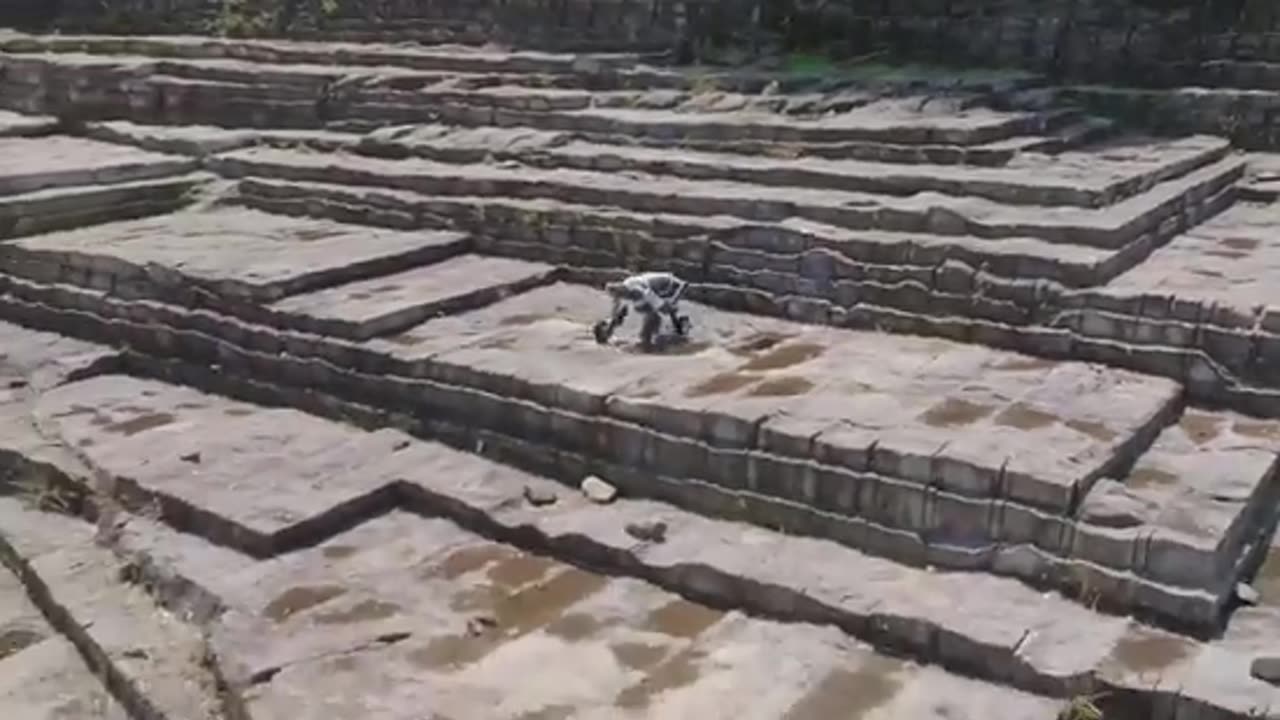 یک روباتیک چینی ، Chinese robotic dog