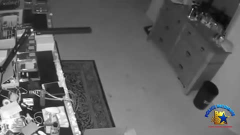 ICE Dismantles South American Theft Ring Linked to Violent Texas Home Invasions