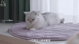 This 1-Minute Story Will Inspire You